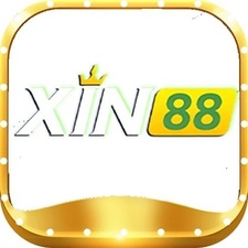 xin88vippro's avatar