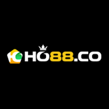 ho88co's avatar