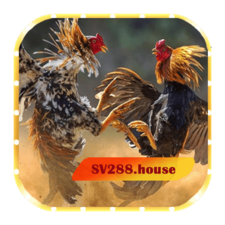 sv288_house's avatar