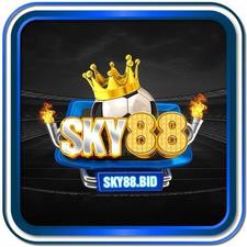 sky88bid's avatar