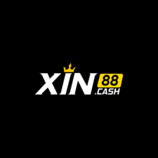 xin88cash's avatar