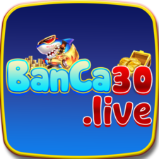 Banca30live's avatar