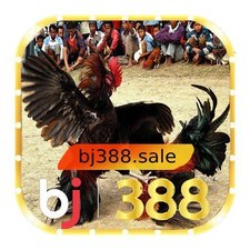 bj388sale's avatar