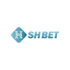 shbetco's avatar