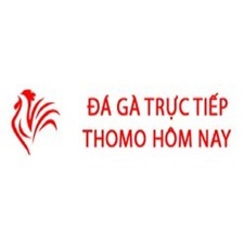 Đá Gà Trực Tiếp Thomo Hôm Nay's avatar