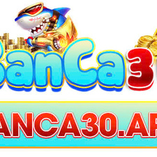 banca30app's avatar