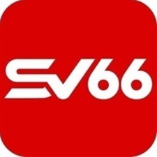 sv66directory's avatar