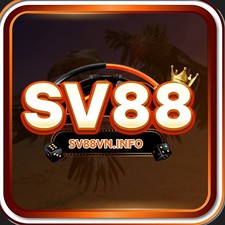 sv88vninfo's avatar