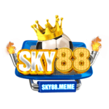 SKY88 meme's avatar