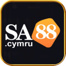 sa88cymru's avatar