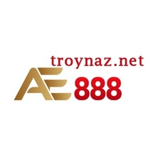 troynaznet's avatar