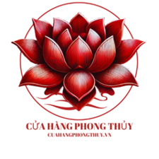 tungtruong3986