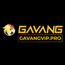 Gavangvip Pro's avatar