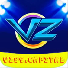 vz99capital's avatar