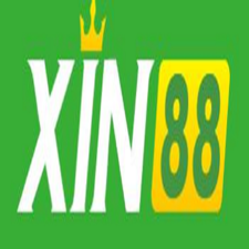 xin88st10com@gmail.com's avatar