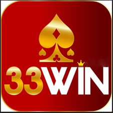 33winnowvn's avatar