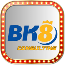 bk8consulting's avatar