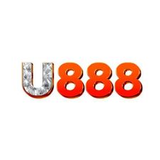 u888surf's avatar