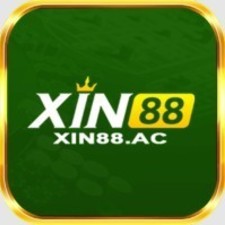 xin88id's avatar