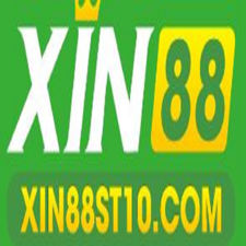 xin88 st10's avatar