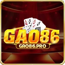 gao86pro's avatar