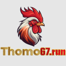 thomo67run's avatar