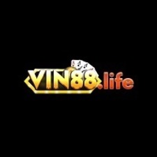 vin88life's avatar