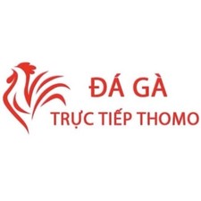 Đá Gà Trực Tiếp Thomo Hôm Nay2