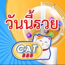 CAT888's avatar