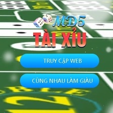 Taixiumd5 Club