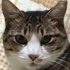 忽那_春夫's avatar
