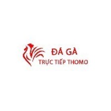 Đá Gà Trực Tiếp Thomo Hôm Nay3's avatar