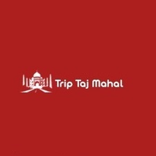 triptajmahal's avatar