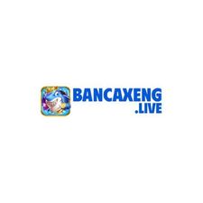 bancaxenglive's avatar