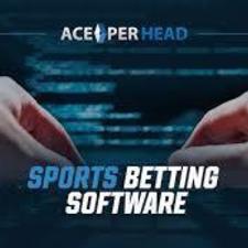 Sportsbook Software's avatar