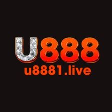 u8881live's avatar