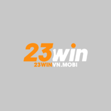 23winvnmobi's avatar