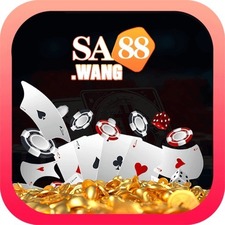 sa88wang's avatar