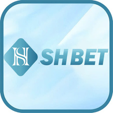 shbethicom's avatar