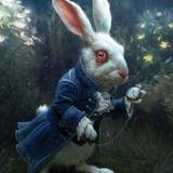 conejo.blanco.31's avatar