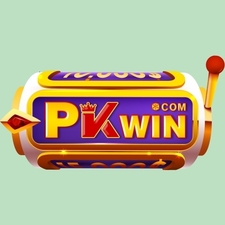 pkwincomim's avatar