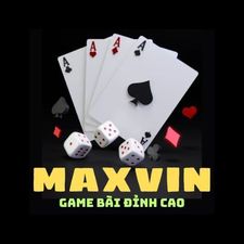 maxvinfun's avatar