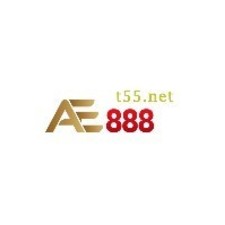 AE888 t55