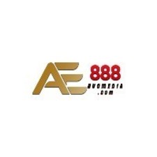 AE888 dvomedia