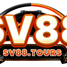 sv88tours's avatar