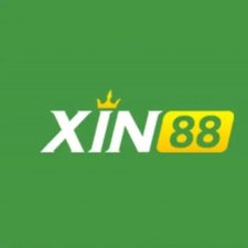 xin88academy's avatar