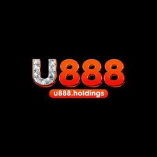 u888holdings's avatar