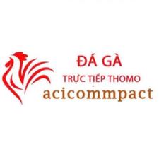 dagaacicommpact's avatar