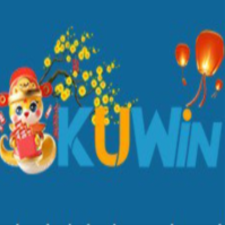 kuwin04skin