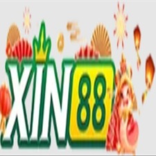 xin888io's avatar